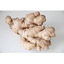 Jengibre Trocito (200 gramos)